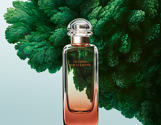 hermès un jardin en méditerranée eau de toilette