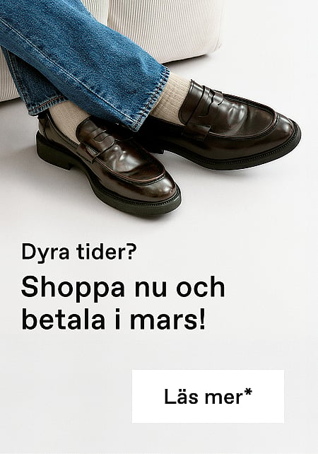 Spot_model_expensive_w_mb_sv