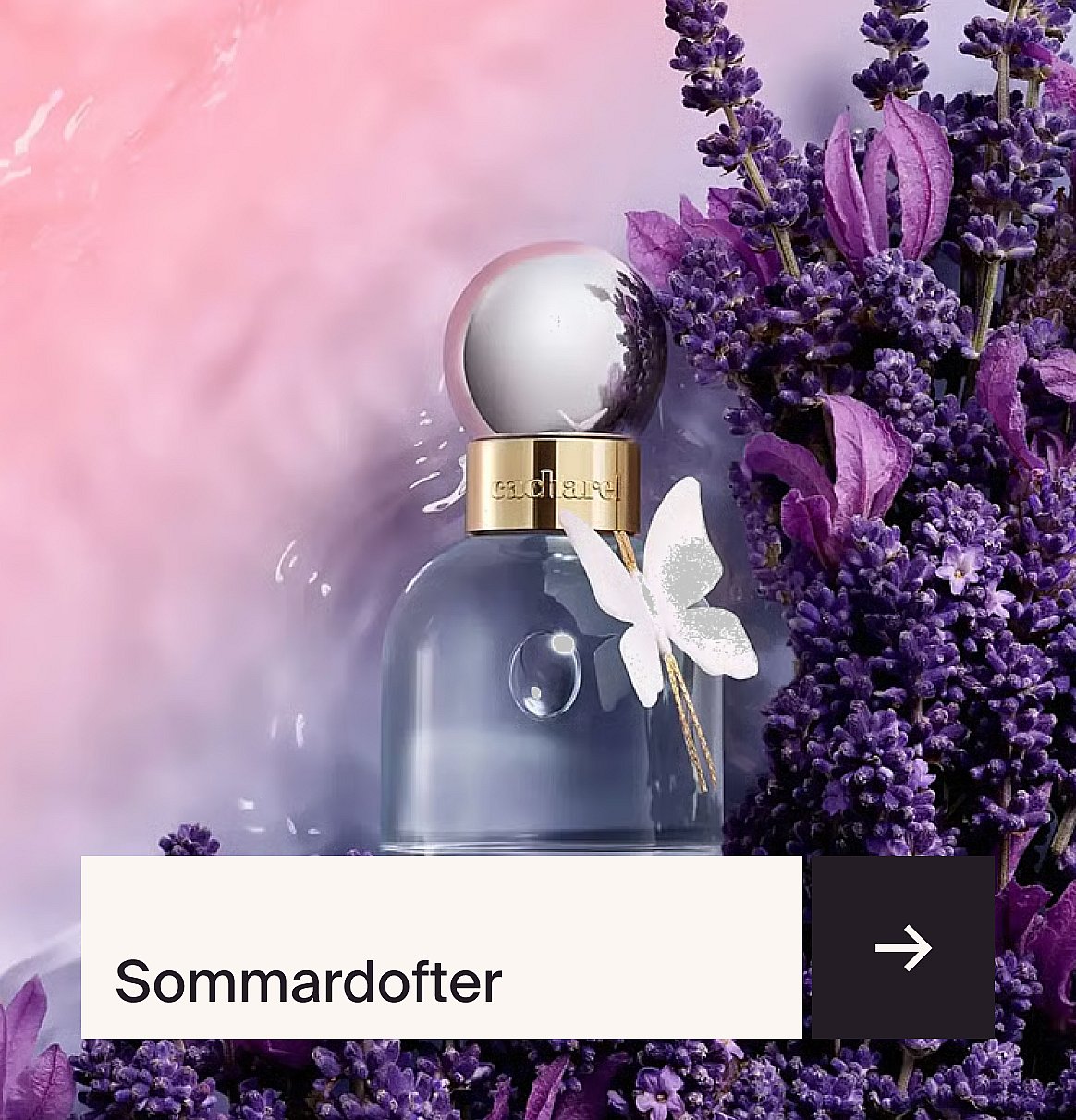 Cacharel parfymflaska med en vit fjäril, omgiven av lavendel. Rosa och lila gradientbakgrund.
