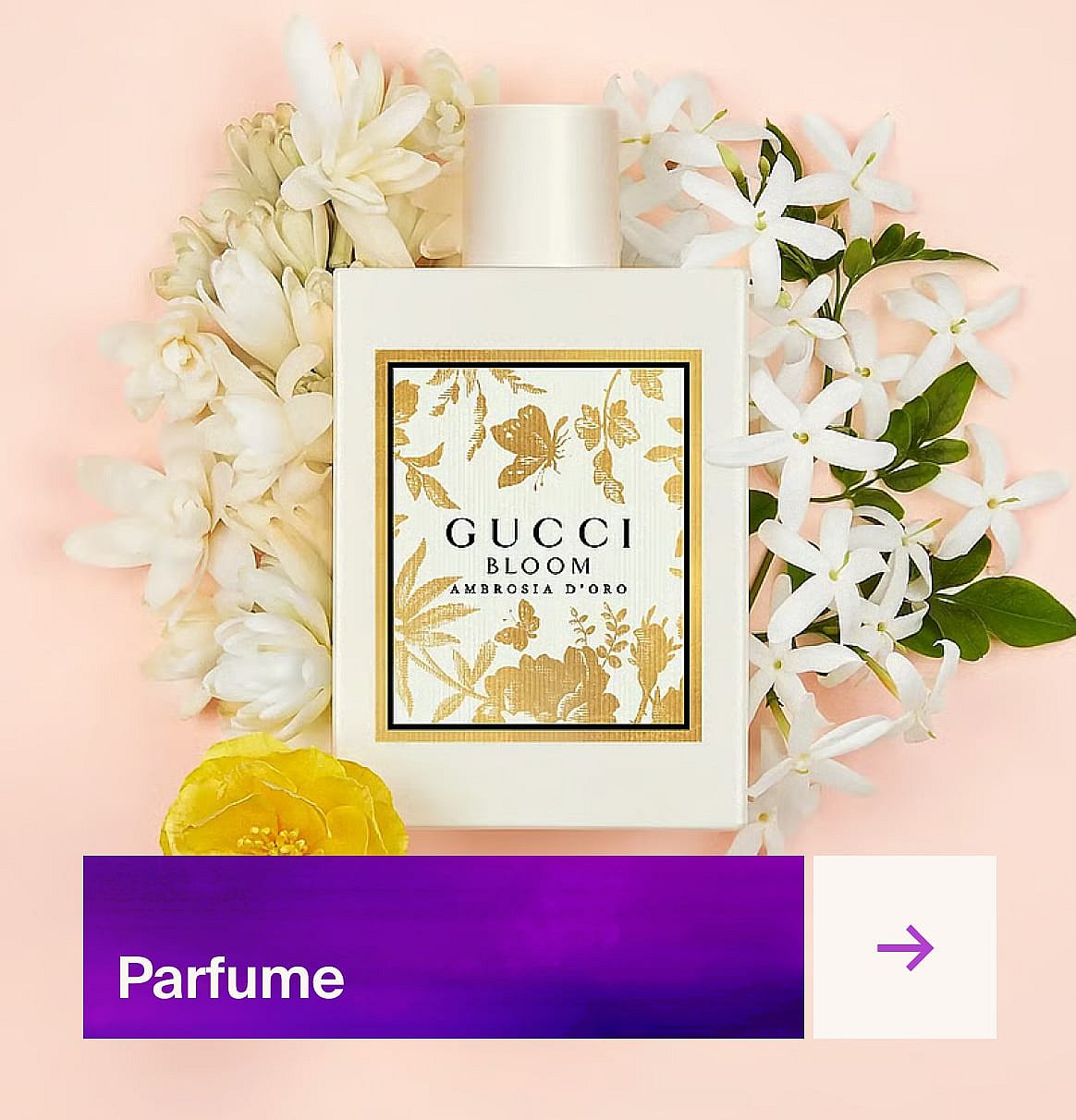 Gucci Bloom Ambrosia D'Oro parfumeflaske med guld blomsterdesign, omgivet af hvide jasmin- og tuberoseblomster på lyserød.