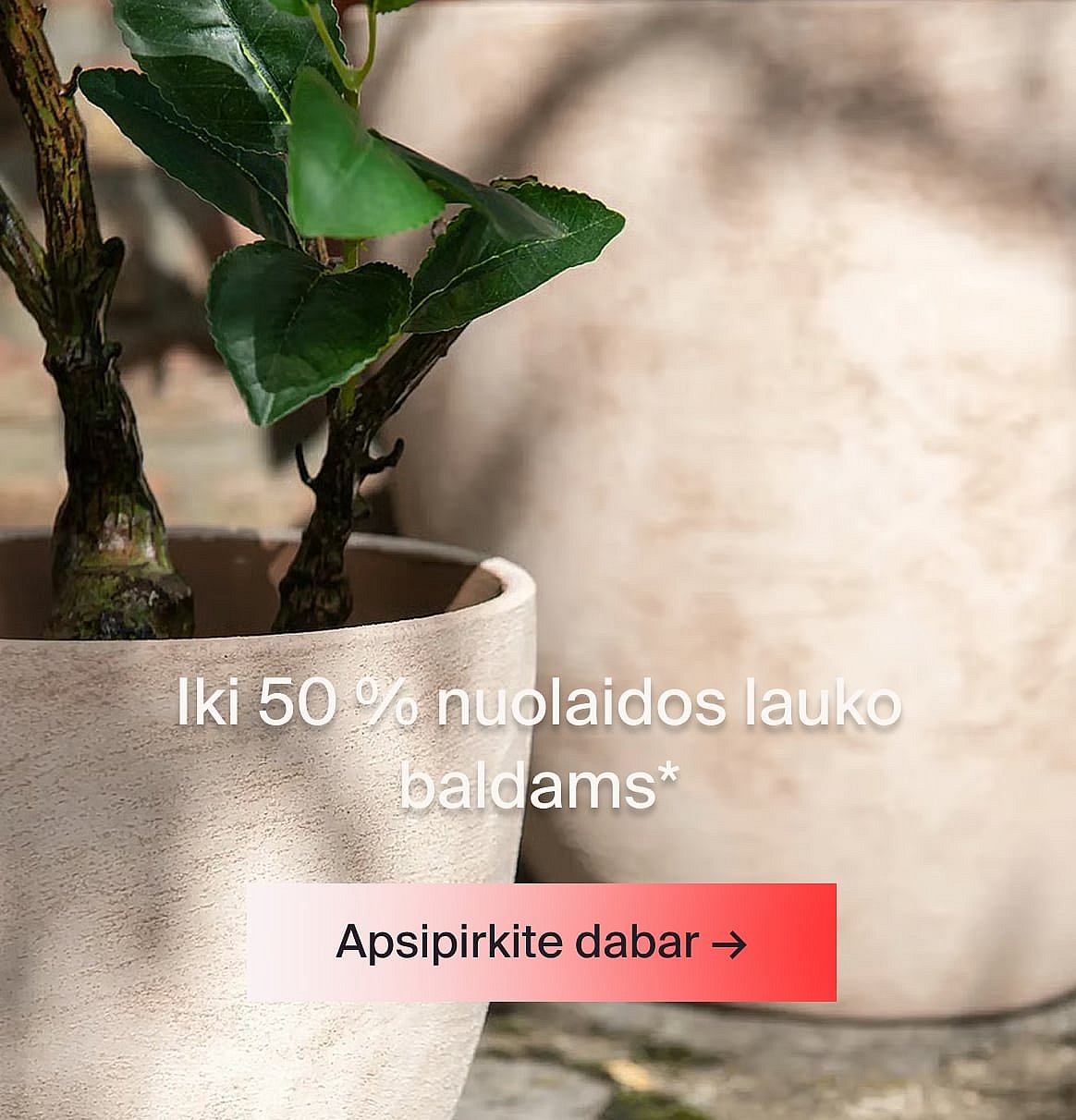 Įvairios buities dovanos: vaza, rankšluosčiai, stiklinės, virtuvės reikmenys, indai, žvakidė ir medinė beždžionė.
Dovanos išleistuvėms.
