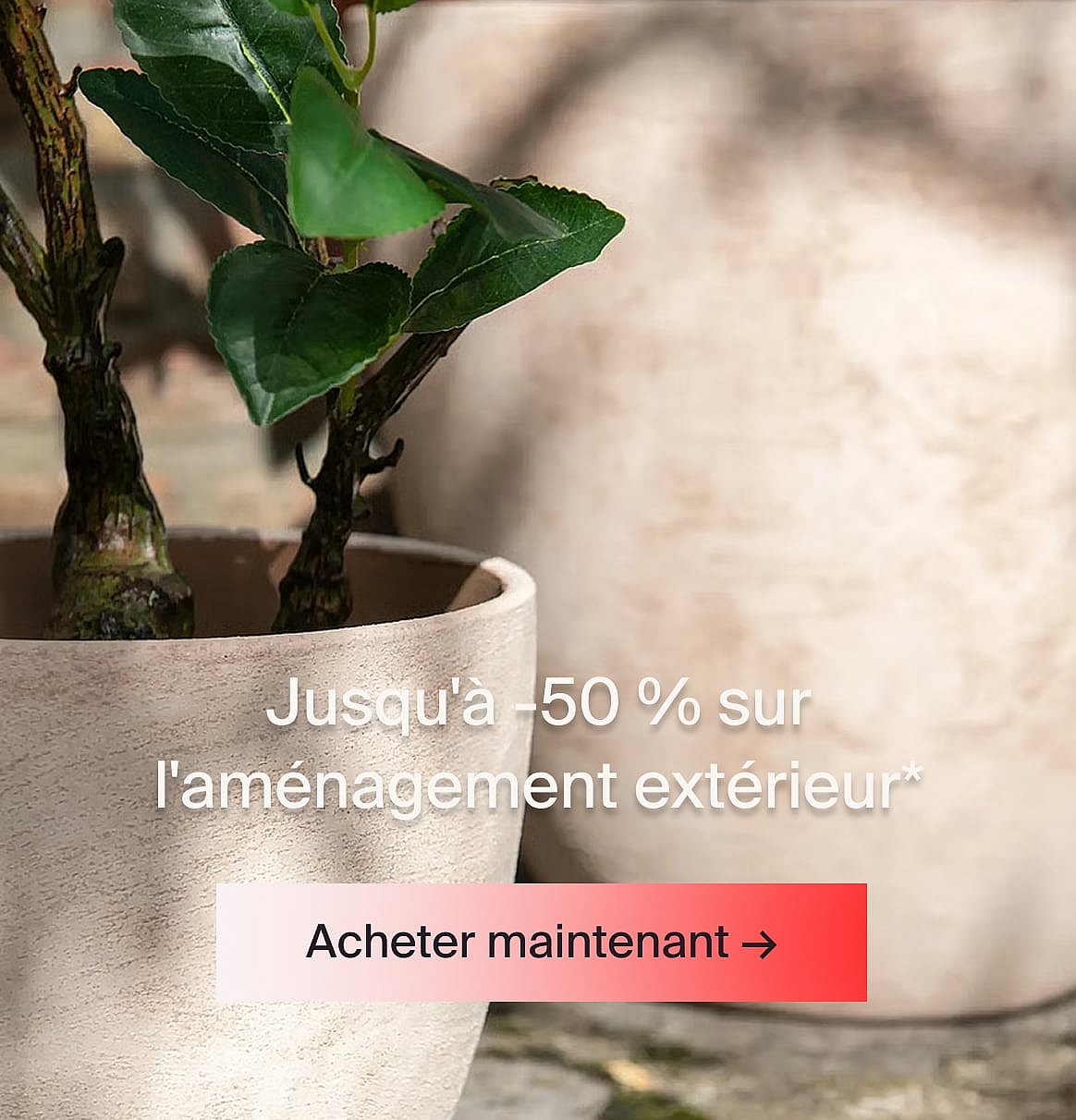 Divers cadeaux pour la maison : vase, serviettes, verres, ustensiles de cuisine, vaisselle, bougeoir et un singe en bois.
Cadeaux Diplôme.