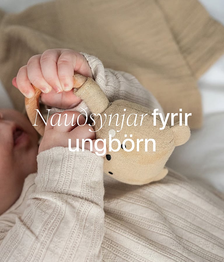Hendur barns í hlutlausum fötum halda á efnisbjörnaleikfangi. Texti yfir mynd: "Grunnþarfir barns"