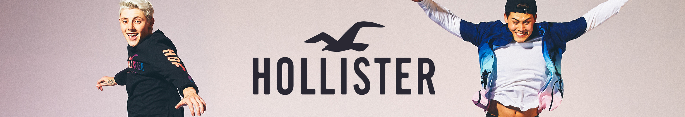 hollister sister company